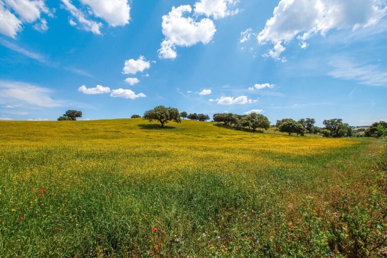 Seeking Adventure? Explore the Top 10 Places to Visit in Alentejo This Summer